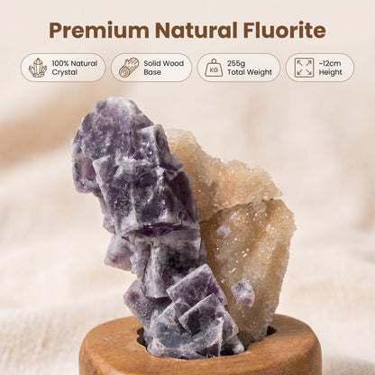 Fluorite Rough 04